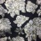 1 Yard Black and Gold Metallic Brocade Fabric for Jackets Costumes and Home Decor 56 Inches